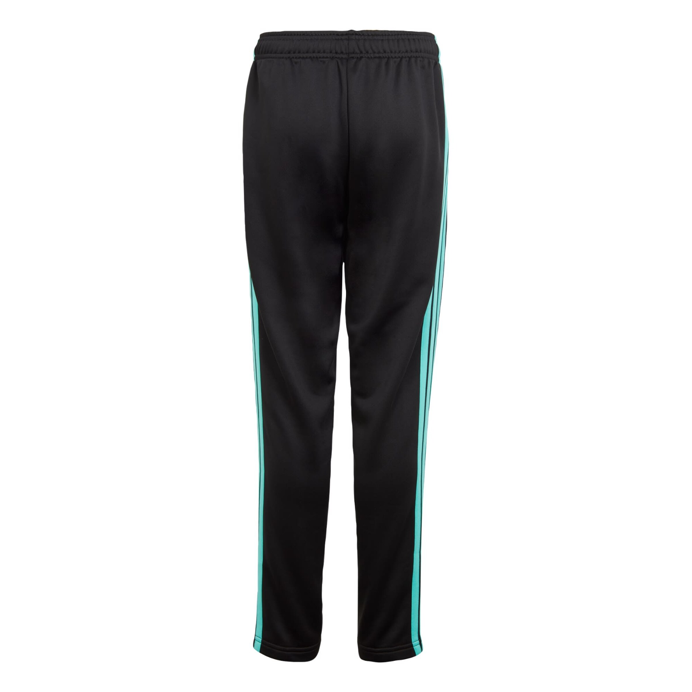 ADIDAS PERFORMANCE Regular Sports trousers 'Mercedes - AMG Petronas Formula One Team DNA' in Black