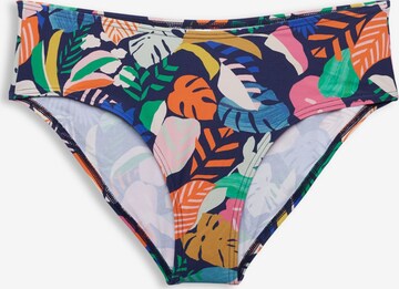 ESPRIT Bikini bottom in Mixed colours: front