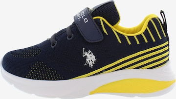 Sneaker di U.S. POLO ASSN. in blu: frontale