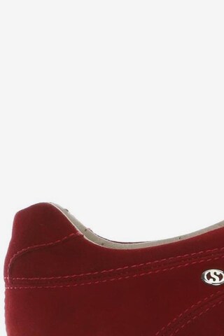 SUPERGA Sneakers & Trainers in 38 in Red