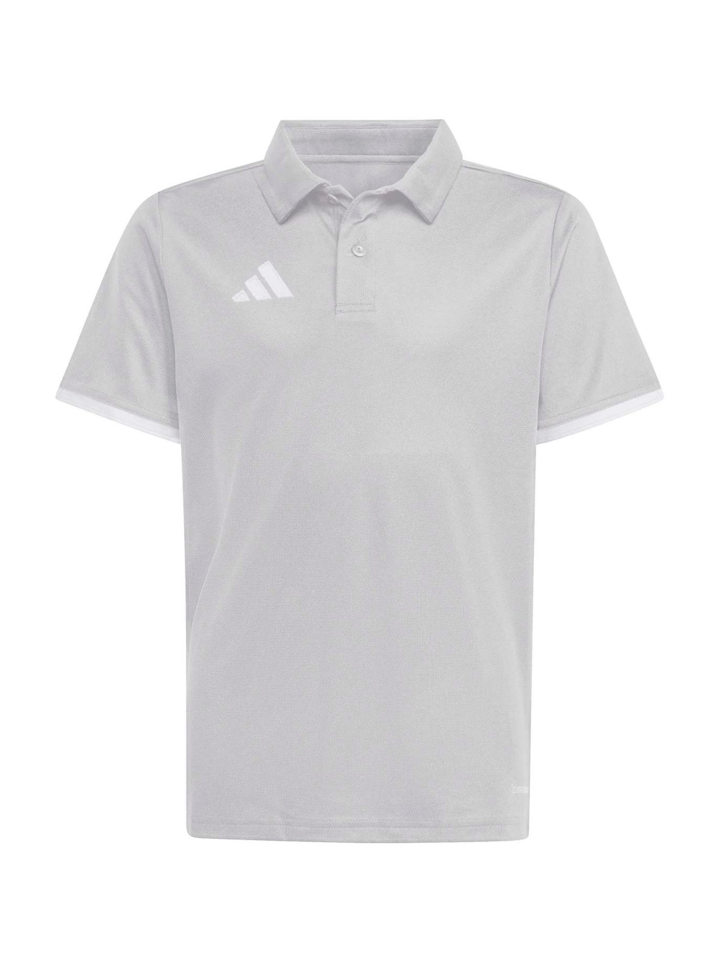 ADIDAS PERFORMANCE - Camiseta funcional 'ENT26' en gris: frente