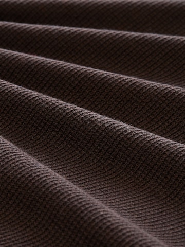 Pullover di TOM TAILOR in marrone