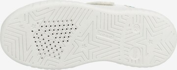 GEOX Sneakers in Wit