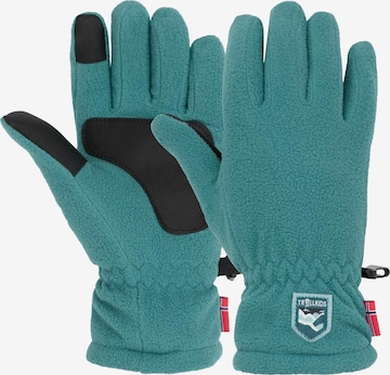 TROLLKIDS Gloves in Blue: front