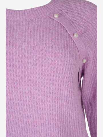 Zizzi Sweater 'MCOMFY PEARL' in Purple