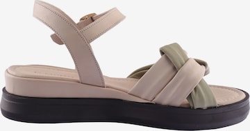 D.MoRo Shoes Sandale 'SIROPILO' in Pink