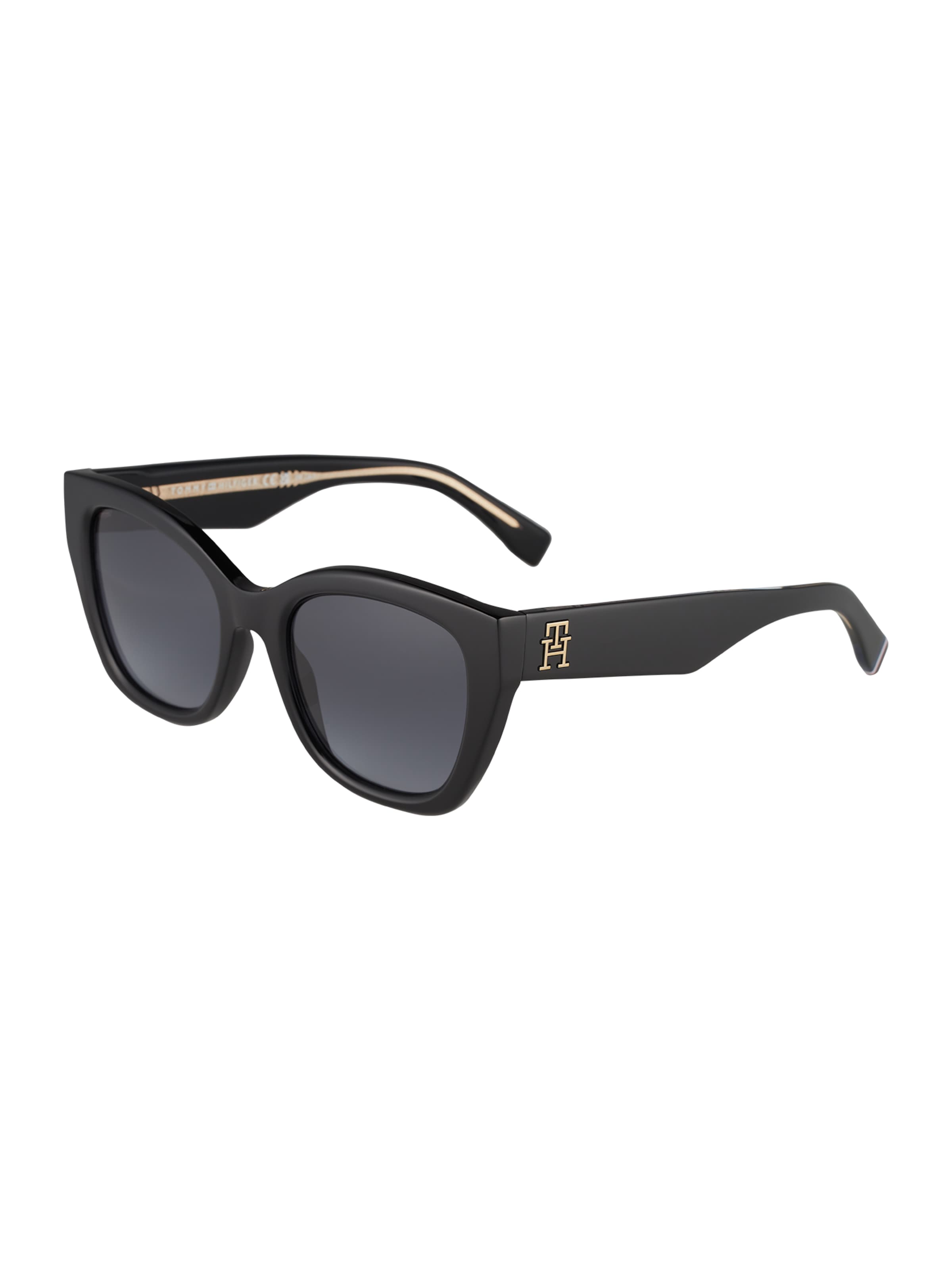 TOMMY HILFIGER Sunglasses 'TH 1980/S' in Black: front