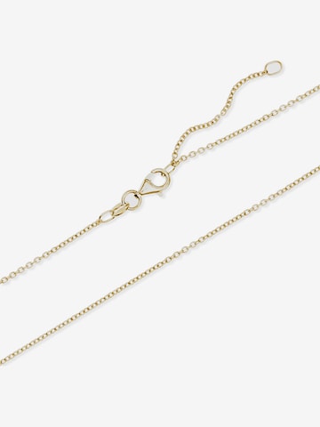 FAVS Kette in Gold