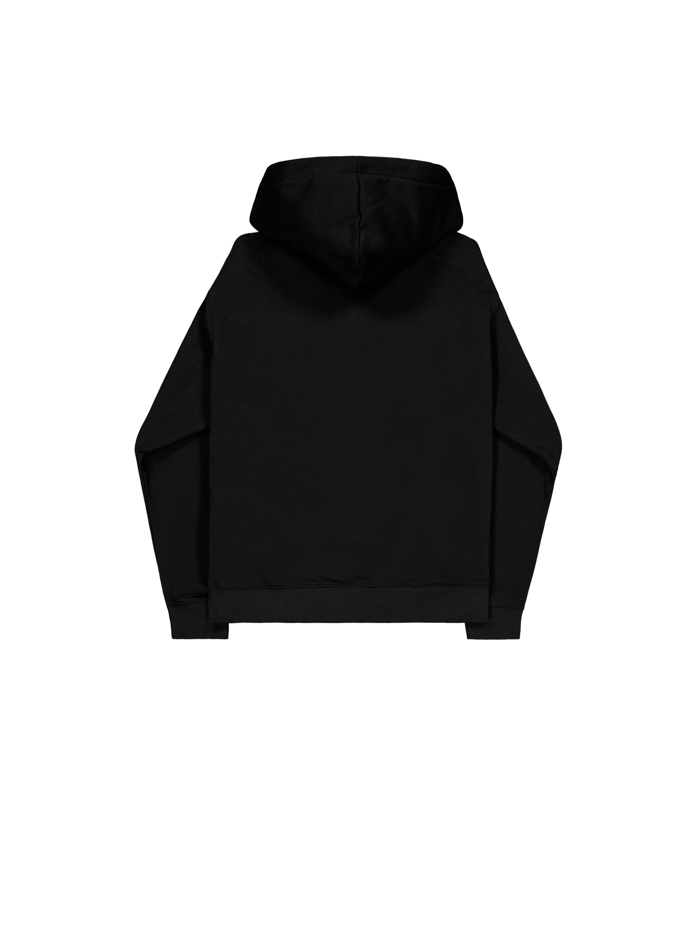 ALPHA INDUSTRIES Bluzka sportowa 'Dtm' w kolorze czarny