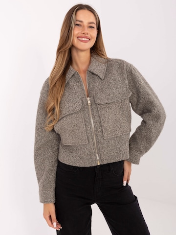 Sublevel Зимняя куртка в Серый