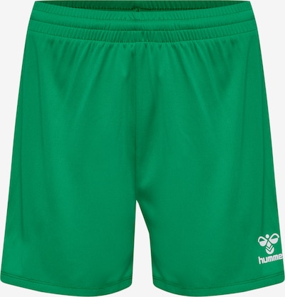 Hummel Sportshorts in XXL in grasgrün / offwhite, Produktansicht