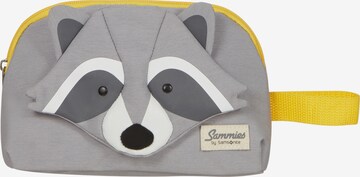 SAMSONITE Bag in Grey: front