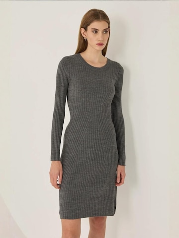 Hiccup Kleid in Grau