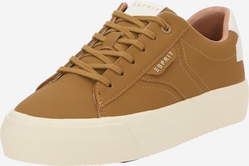 Baskets basses ESPRIT en marron : devant