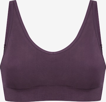 Bustier Soutien-gorge SCHIESSER en violet : devant