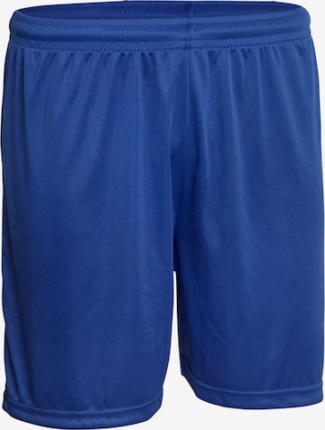 DERBYSTAR Regular Workout Pants in Blue: front