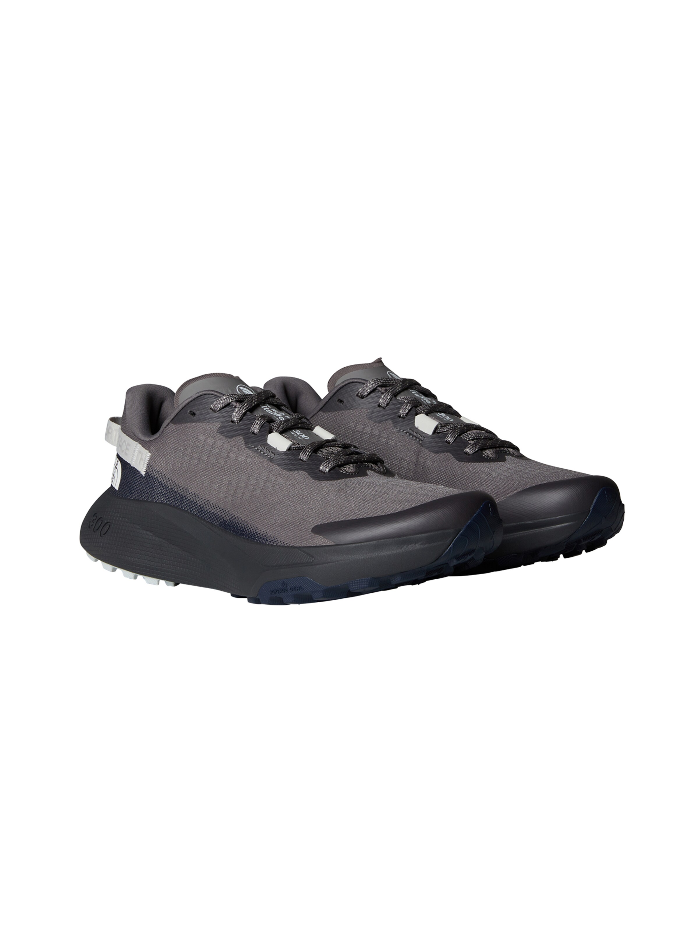 Chaussure basse 'Altamesa 300' THE NORTH FACE en gris