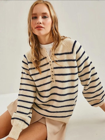 Bianco Lucci Sweater in Beige