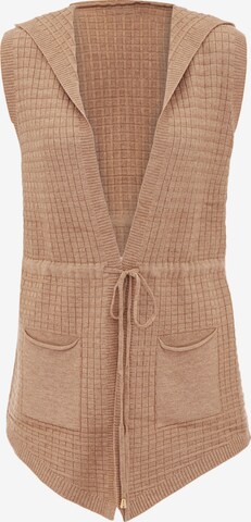 COBIE Knit Cardigan in Brown