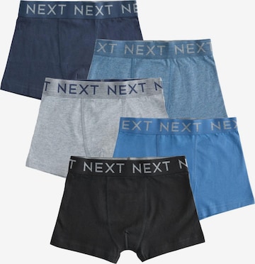 mėlyna Next Apatinės kelnaitės: priekis