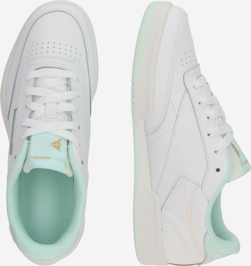 Baskets basses 'CLUB C' Reebok en blanc