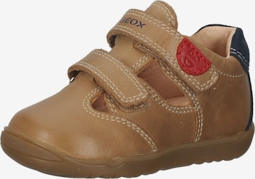 GEOX First-Step Shoes in Brown: front