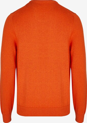 HECHTER PARIS Pullover in Orange