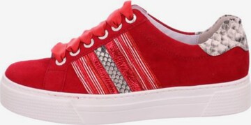 SEMLER Sneakers in Red: front