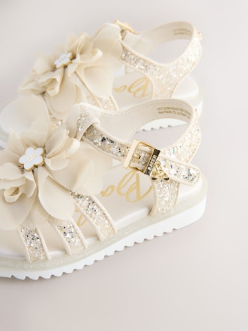 Baker by Ted Baker Sandalen in Goud