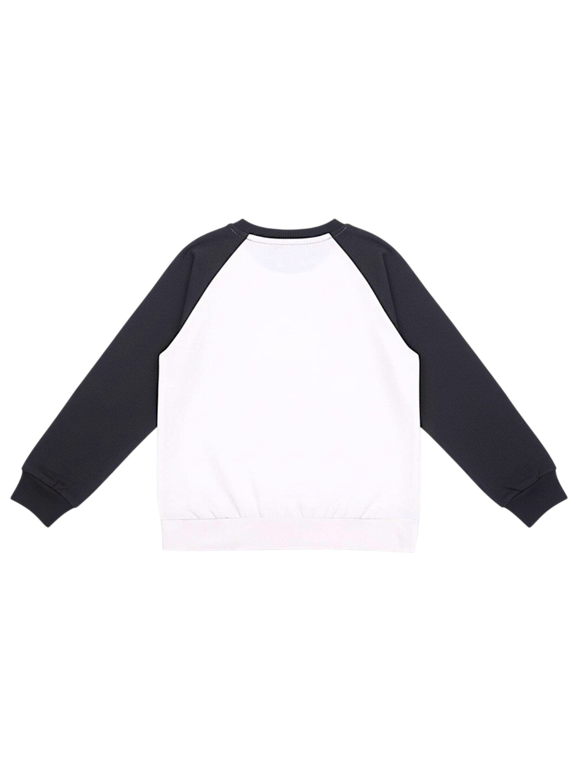 Marvel Avengers Sweatshirt in Mixed colors