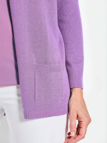 Goldner Sweater in Purple