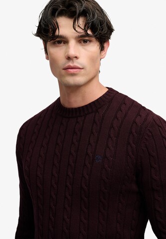 Pullover di Superdry & Co in rosso