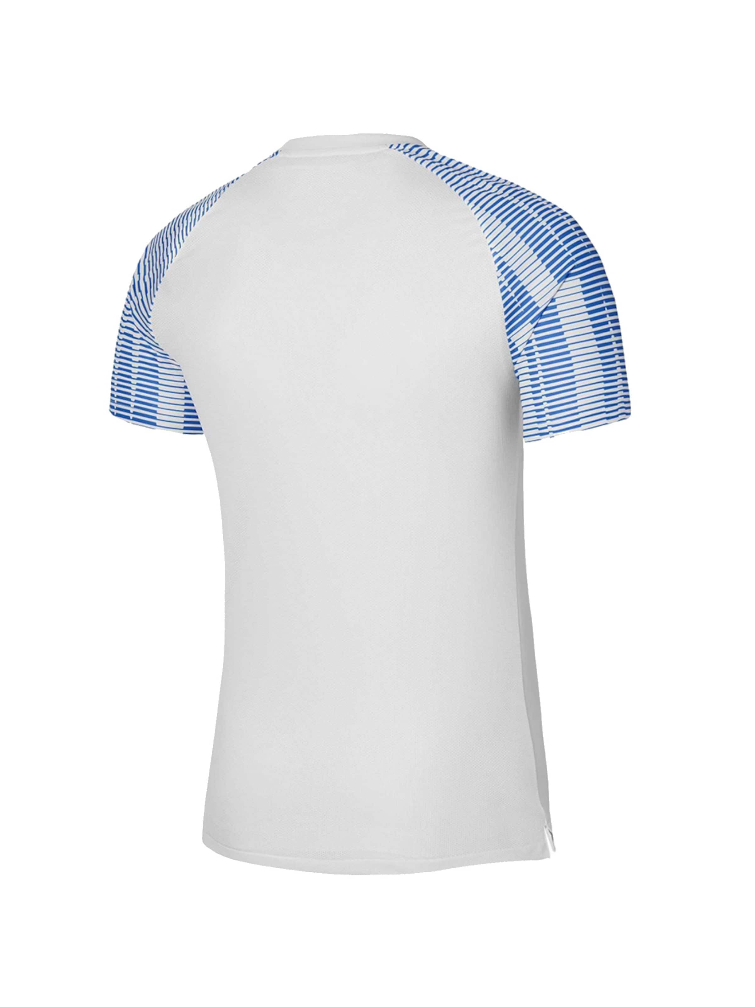 NIKE Shirt 'Nike NK DF Academy JSY SS' in Blue