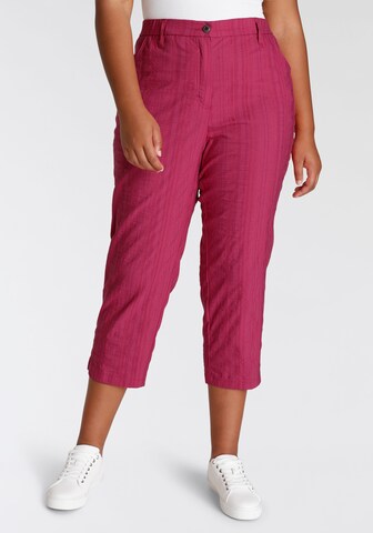 KjBRAND Regular Pants in Pink: front