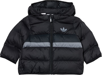 ADIDAS ORIGINALS Winterjas in Zwart: voorkant