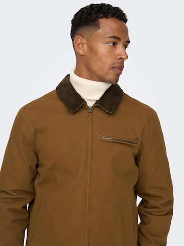 Only & Sons Jacke 'More' in Braun