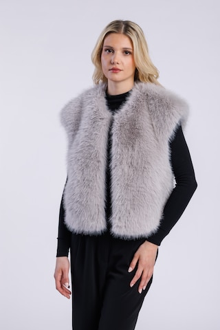 FREAKY NATION - Chaleco ' Cozy Fake Fur Vest ' en gris: frente