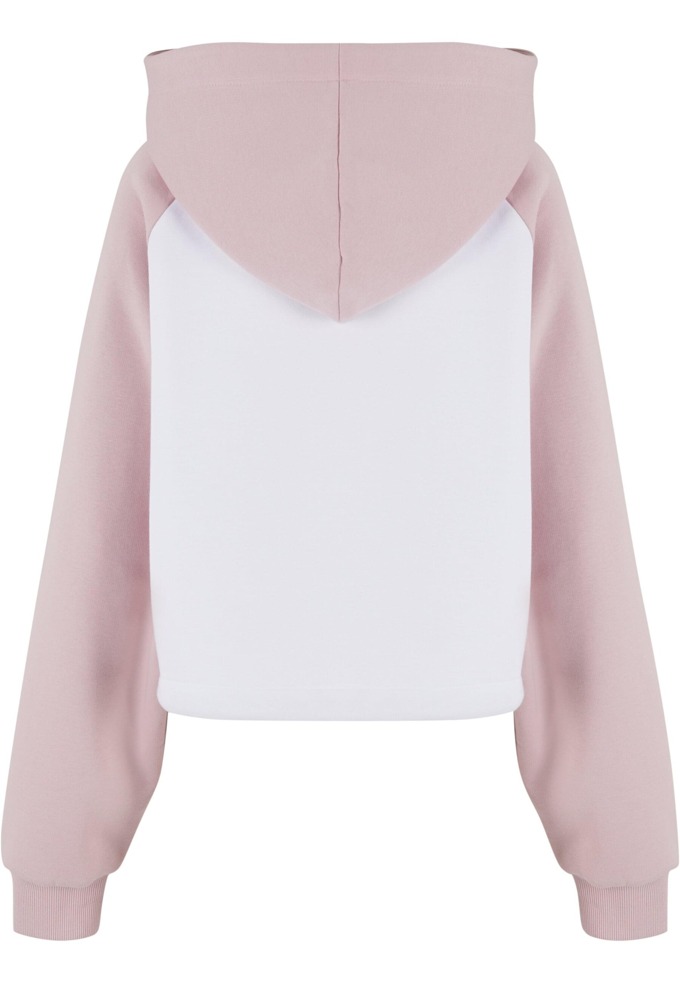 Karl Kani Sweatshirt 'Street Academy' in White