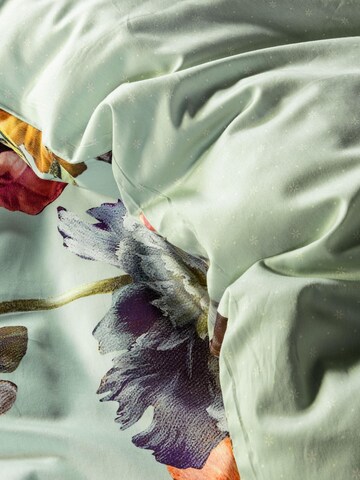 ESSENZA Bettwäsche 'Filou' in Grün