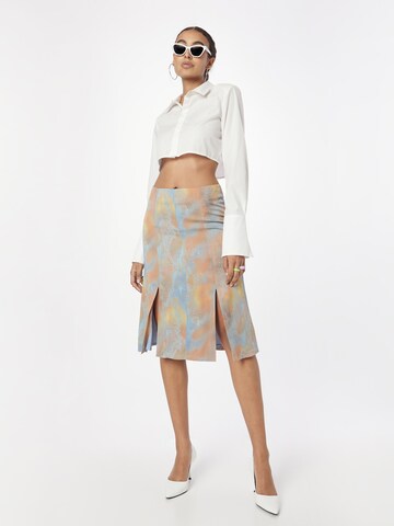 Tiger of Sweden Skirt 'CASI' in Mixed colours