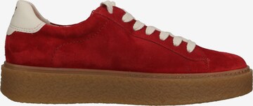 Paul Green Sneakers laag in Rood