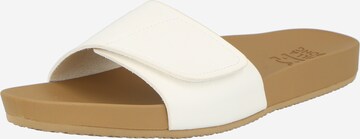 Claquettes / Tongs 'CORONADO' BILLABONG en blanc : devant