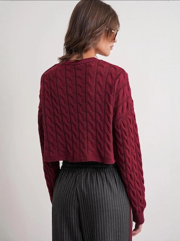 Pullover 'Pullover' di MixRay in rosso