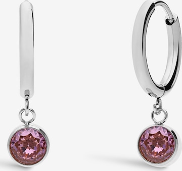 Lucardi Earrings in Silver: front