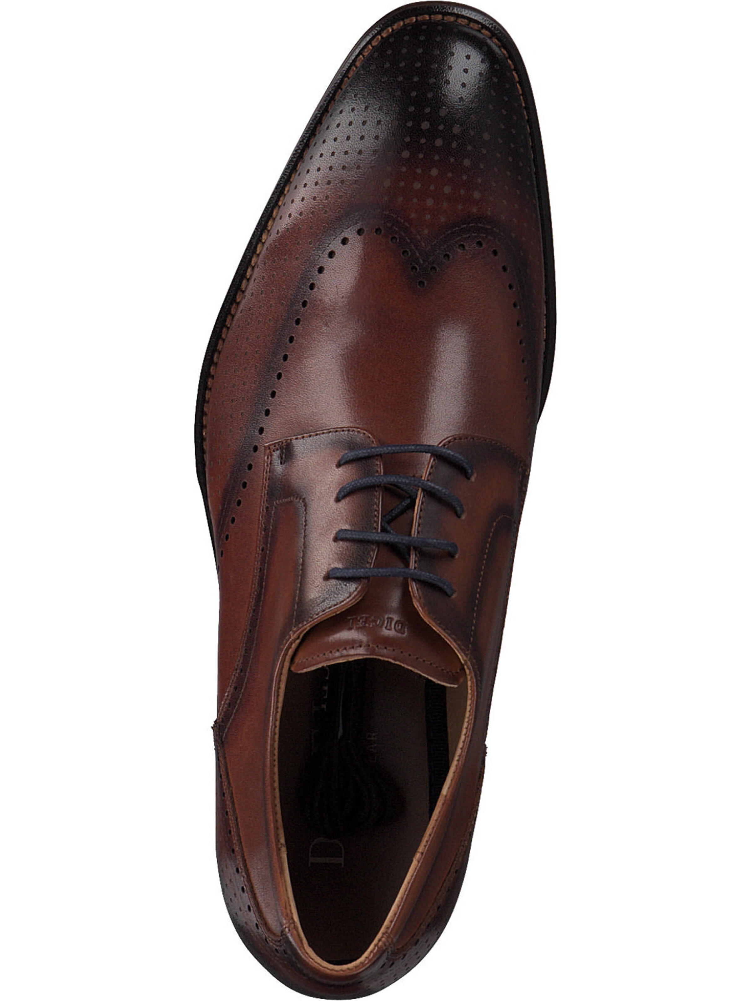 Digel Schnürschuh in Braun