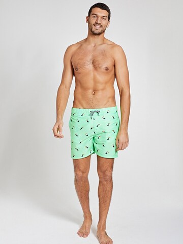 Shiwi Swimming shorts 'Tucan' in Green