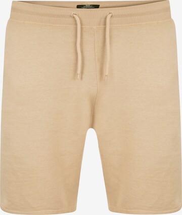 Pantalon 'Storm' Threadbare en beige : devant