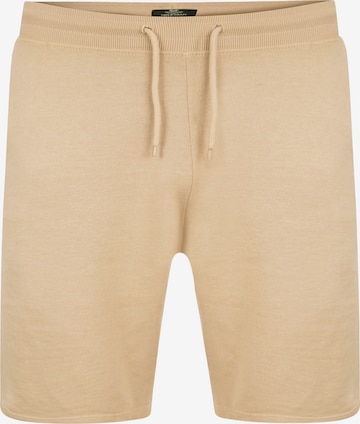 Threadbare Regular Shorts 'Storm' in Beige: predná strana