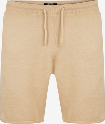 Threadbare Pants 'Storm' in Beige: front