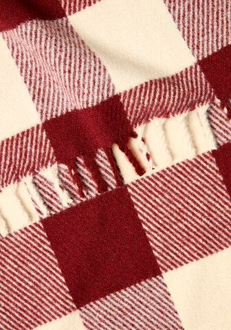 LAURA SCOTT Scarf in Mixed colors